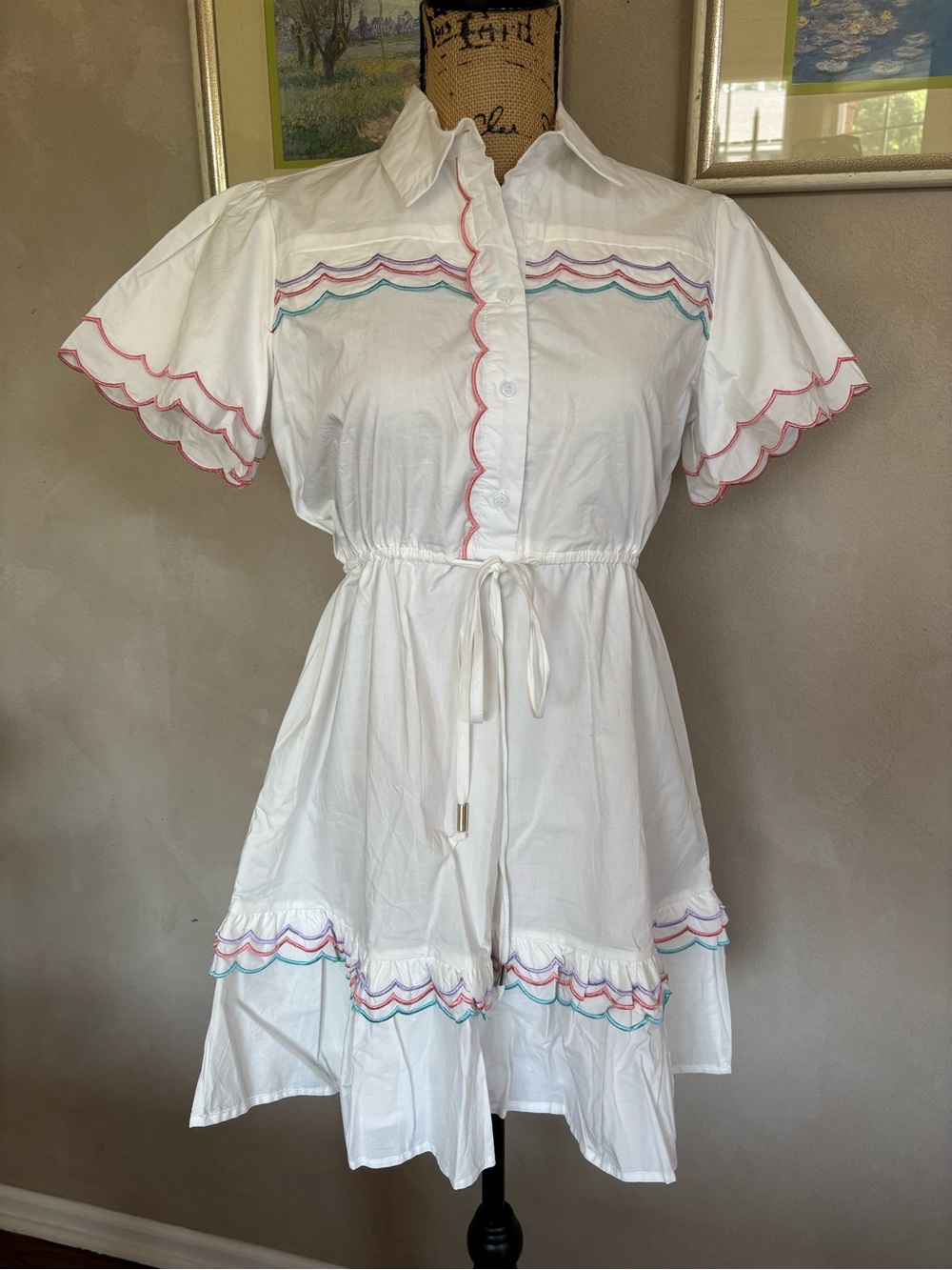 NWT The Shirt Rochelle Behrens Julie dress